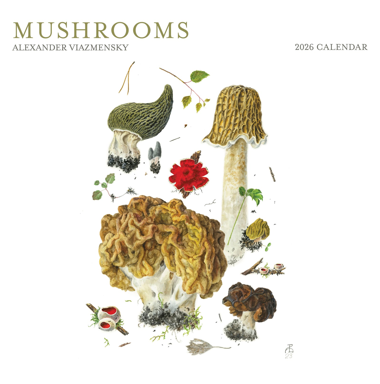 Mushrooms: Alexander Viazmensky 2026 Wall Calendar_Front_Flat