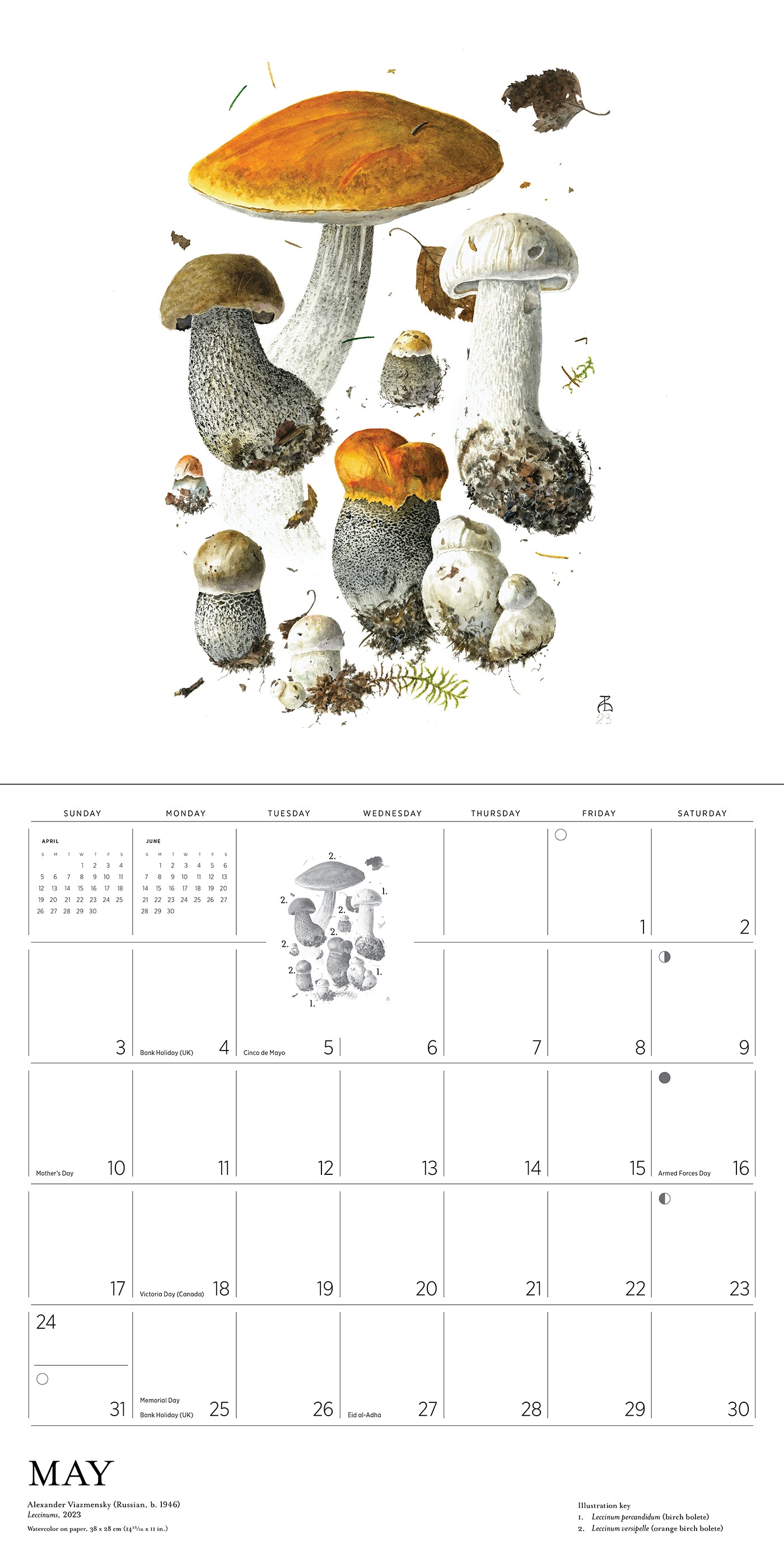 Mushrooms: Alexander Viazmensky 2026 Wall Calendar_Interior_4