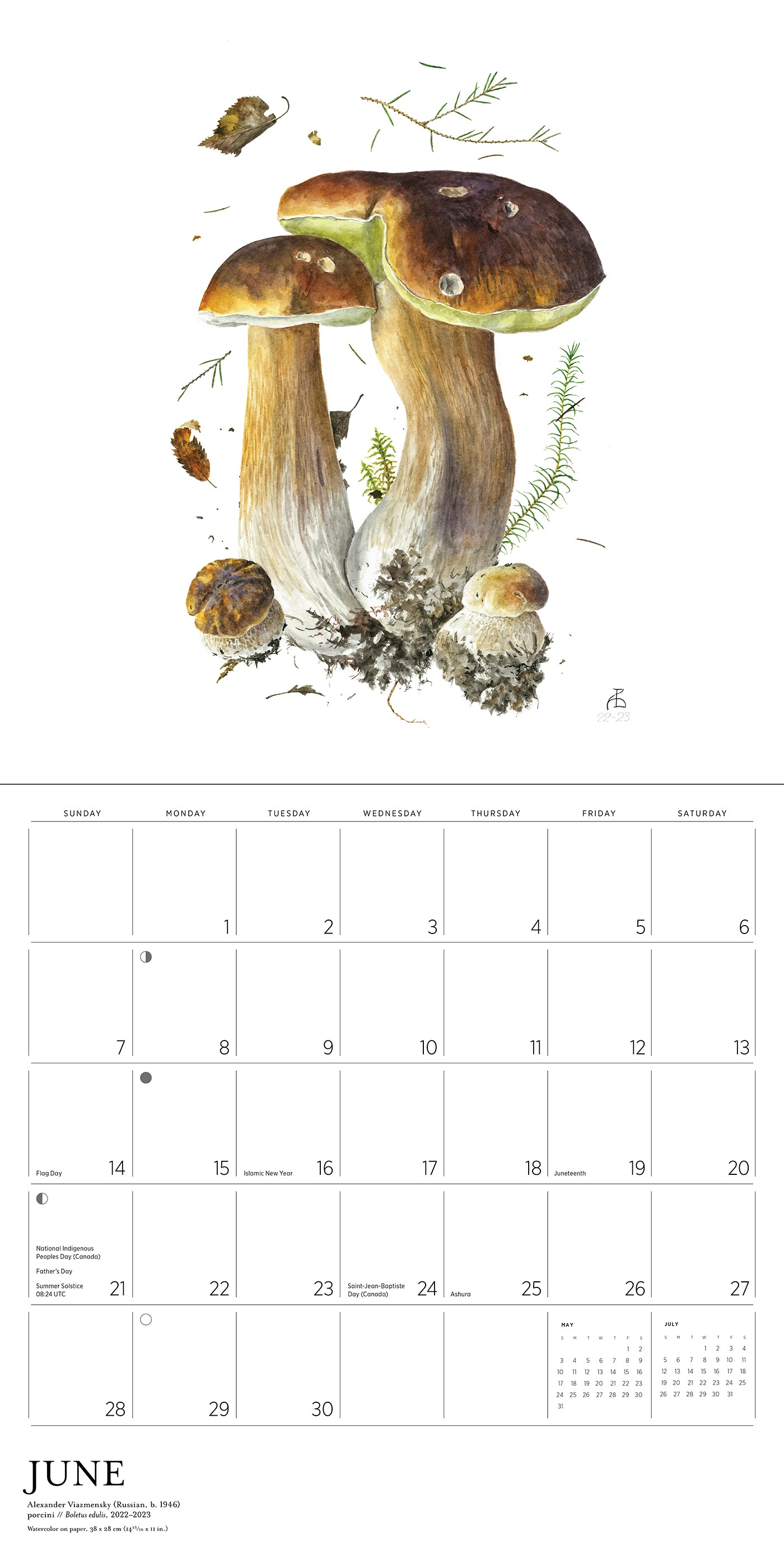 Mushrooms: Alexander Viazmensky 2026 Wall Calendar_Interior_5