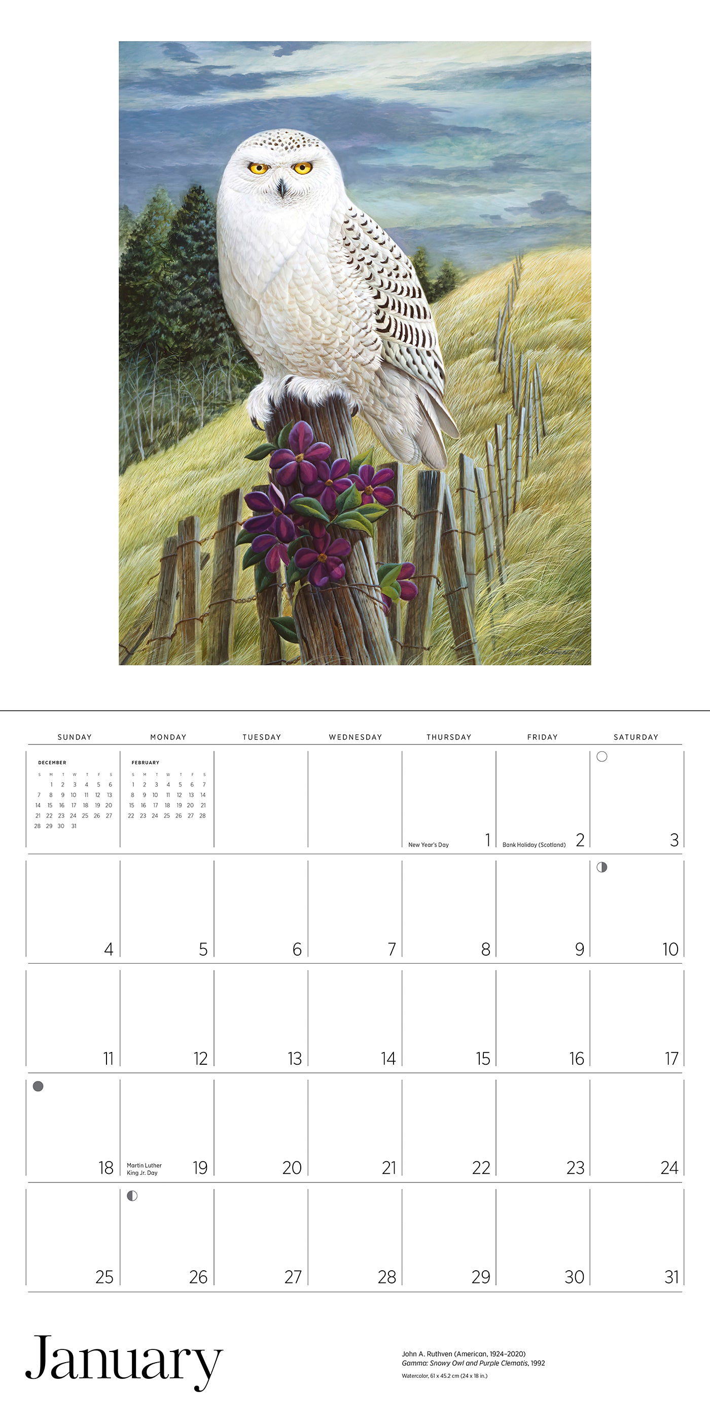 A Birder's View: Paintings by John A. Ruthven 2026 Wall Calendar_Interior_1
