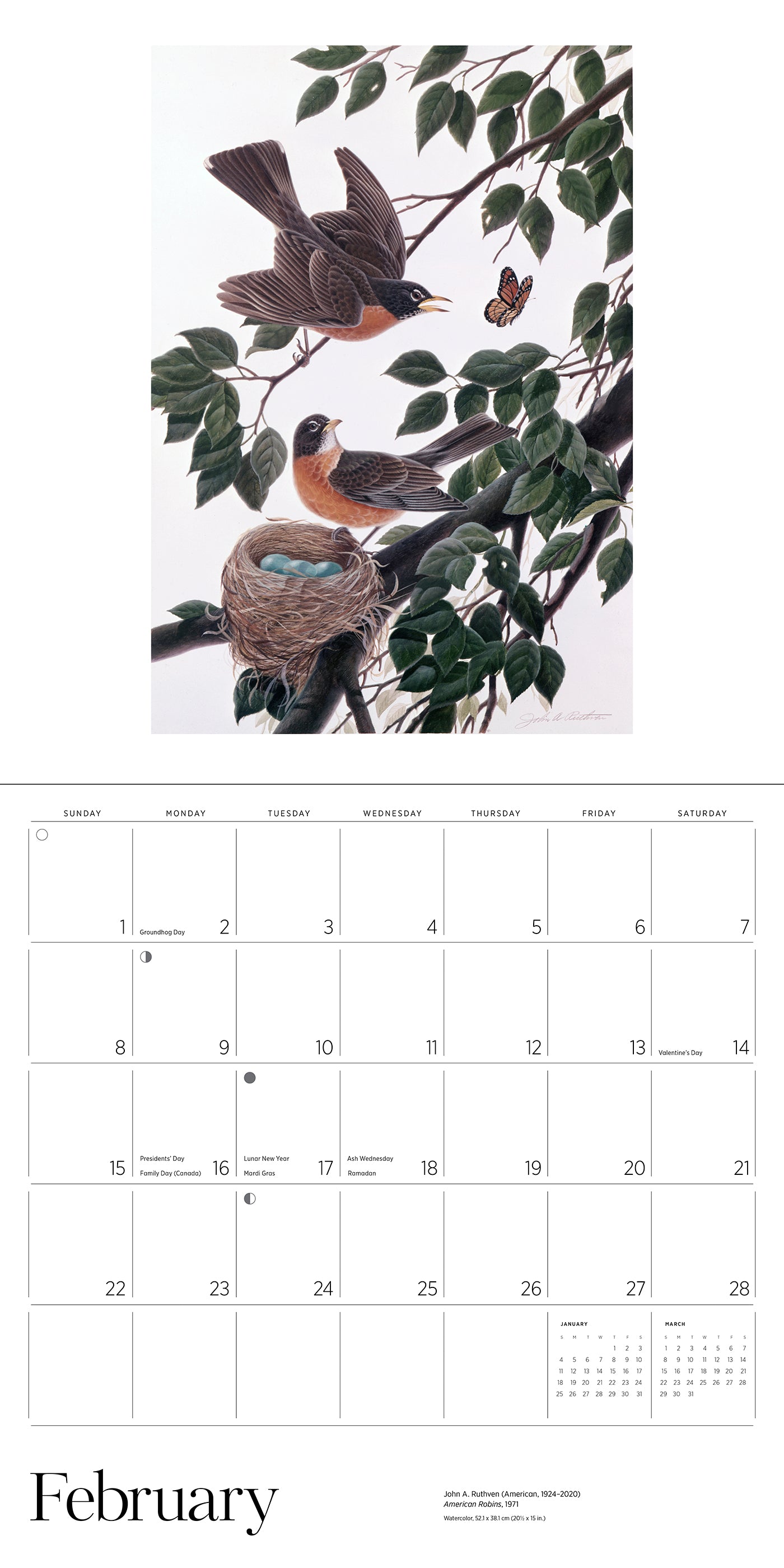 A Birder's View: Paintings by John A. Ruthven 2026 Wall Calendar_Interior_2
