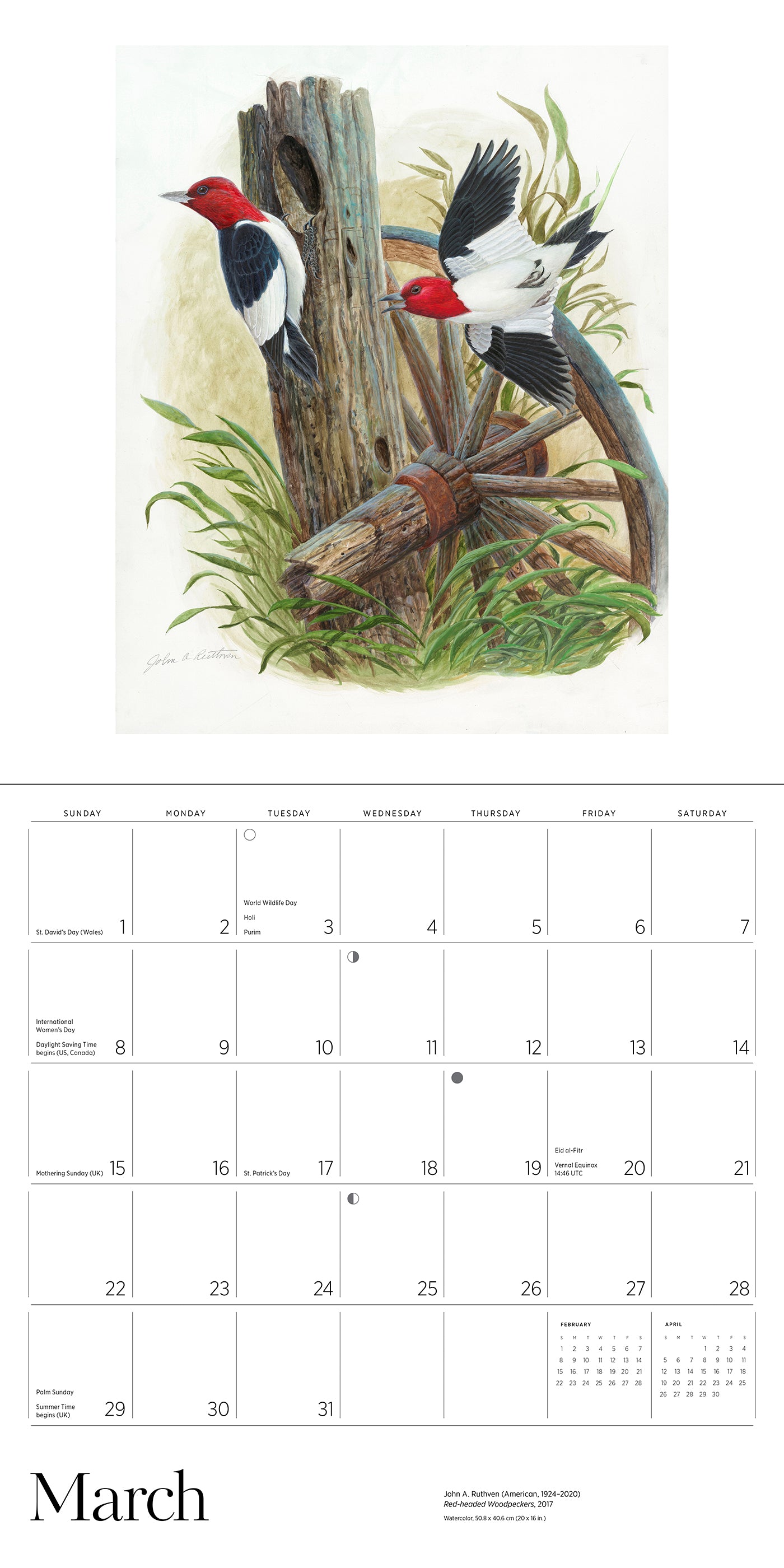 A Birder's View: Paintings by John A. Ruthven 2026 Wall Calendar_Interior_3