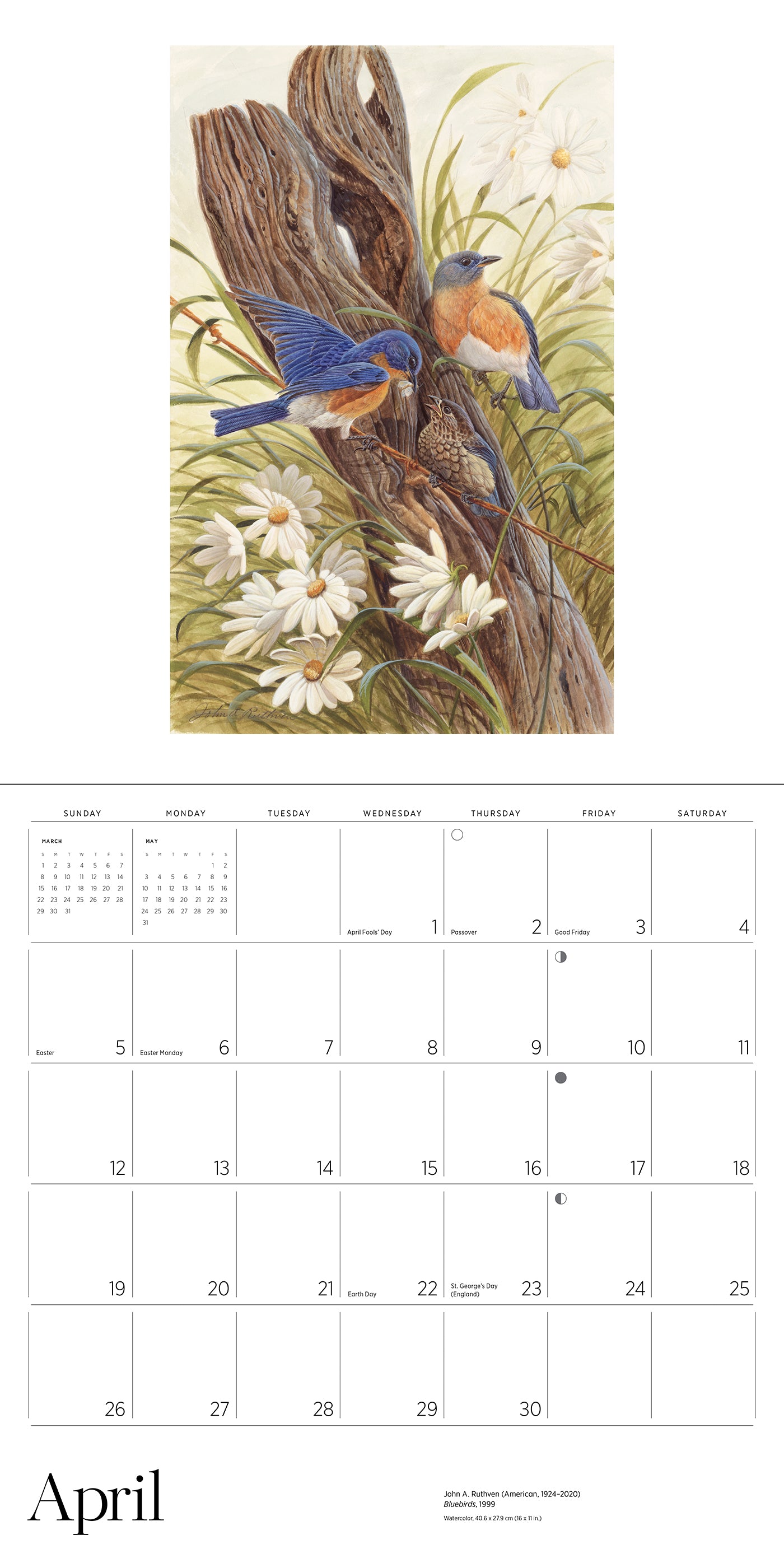 A Birder's View: Paintings by John A. Ruthven 2026 Wall Calendar_Interior_4