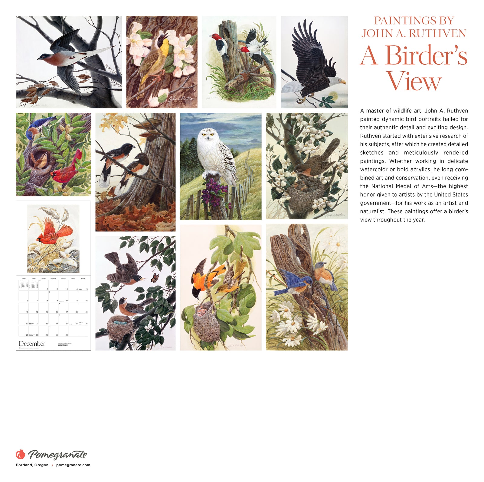 A Birder's View: Paintings by John A. Ruthven 2026 Wall Calendar_Back_Multipiece