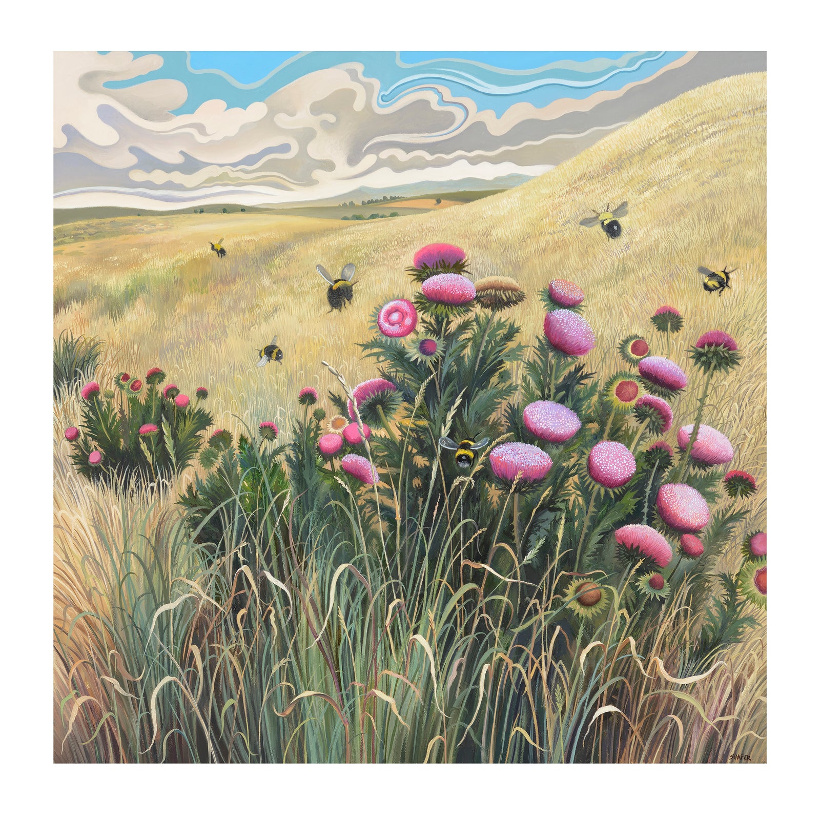 Phyllis Shafer: Nature Divine 2027 Wall Calendar_Zoom