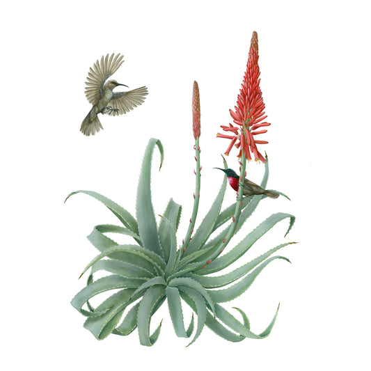 Erin E. Hunter: Pollinators 2027 Wall Calendar_Front_Flat