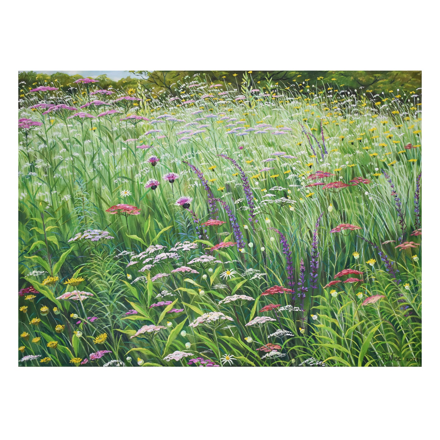 Rosalind Wise 2027 Wall Calendar_Zoom