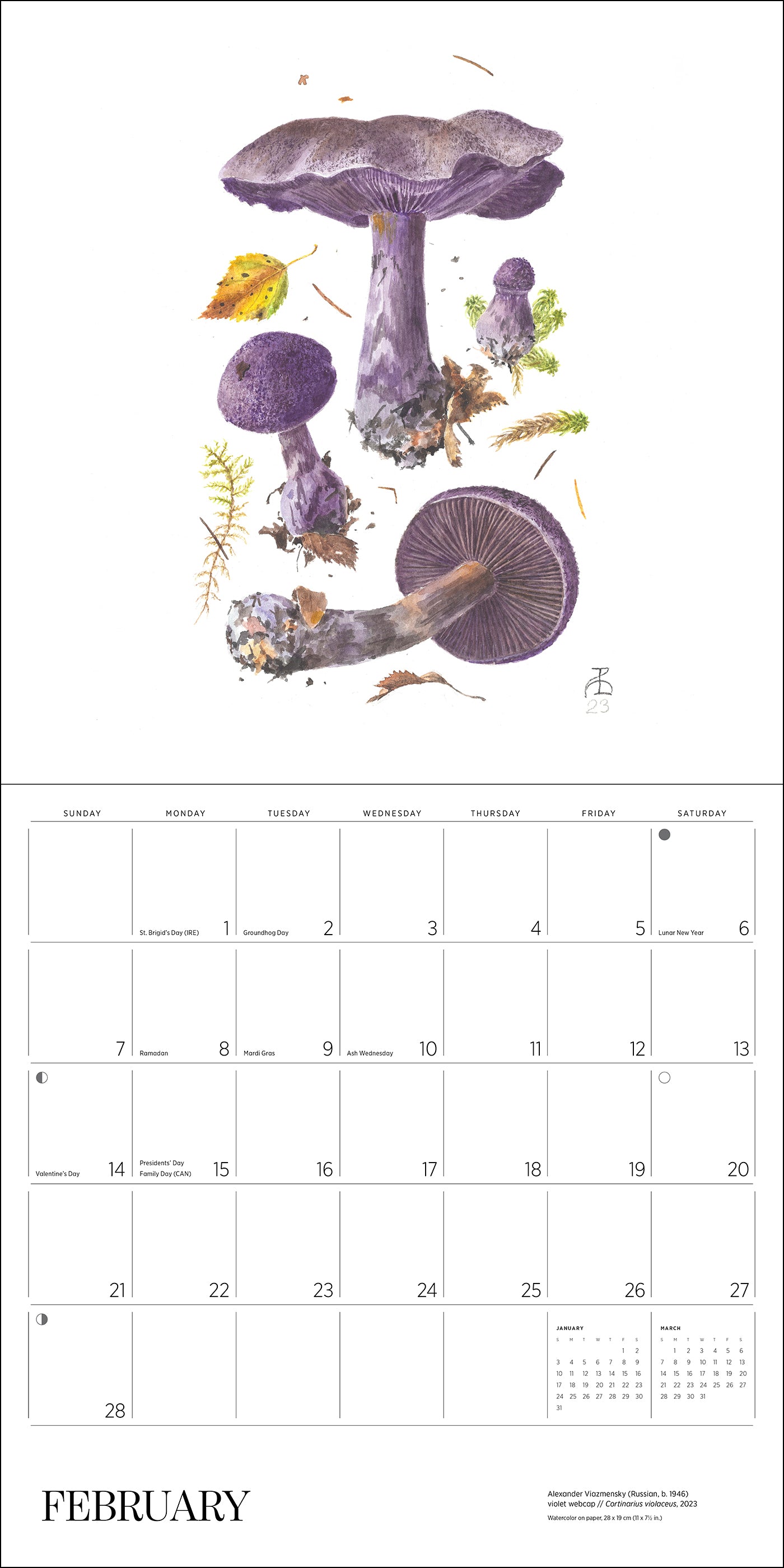 Mushrooms: Alexander Viazmensky 2027 Wall Calendar_Interior_2