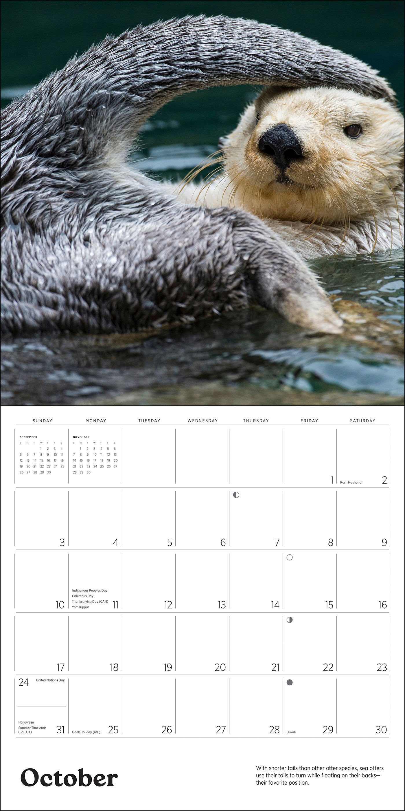 Sea Otters: Photographs by Tom and Pat Leeson 2027 Wall Calendar_Interior_2