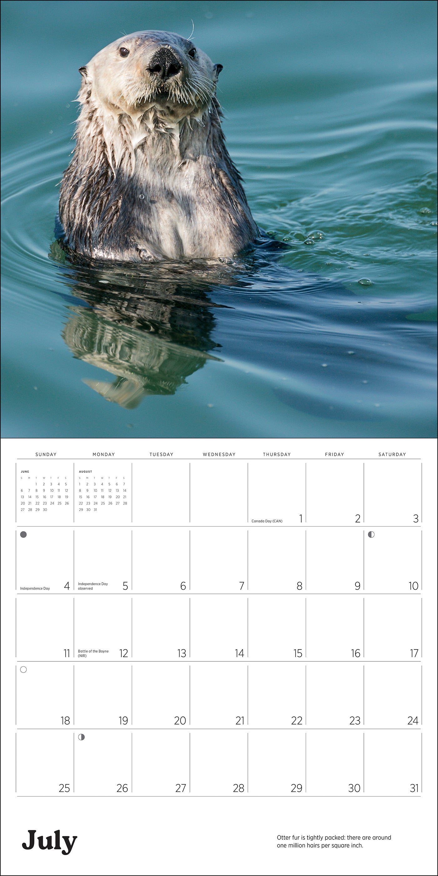 Sea Otters: Photographs by Tom and Pat Leeson 2027 Wall Calendar_Interior_5