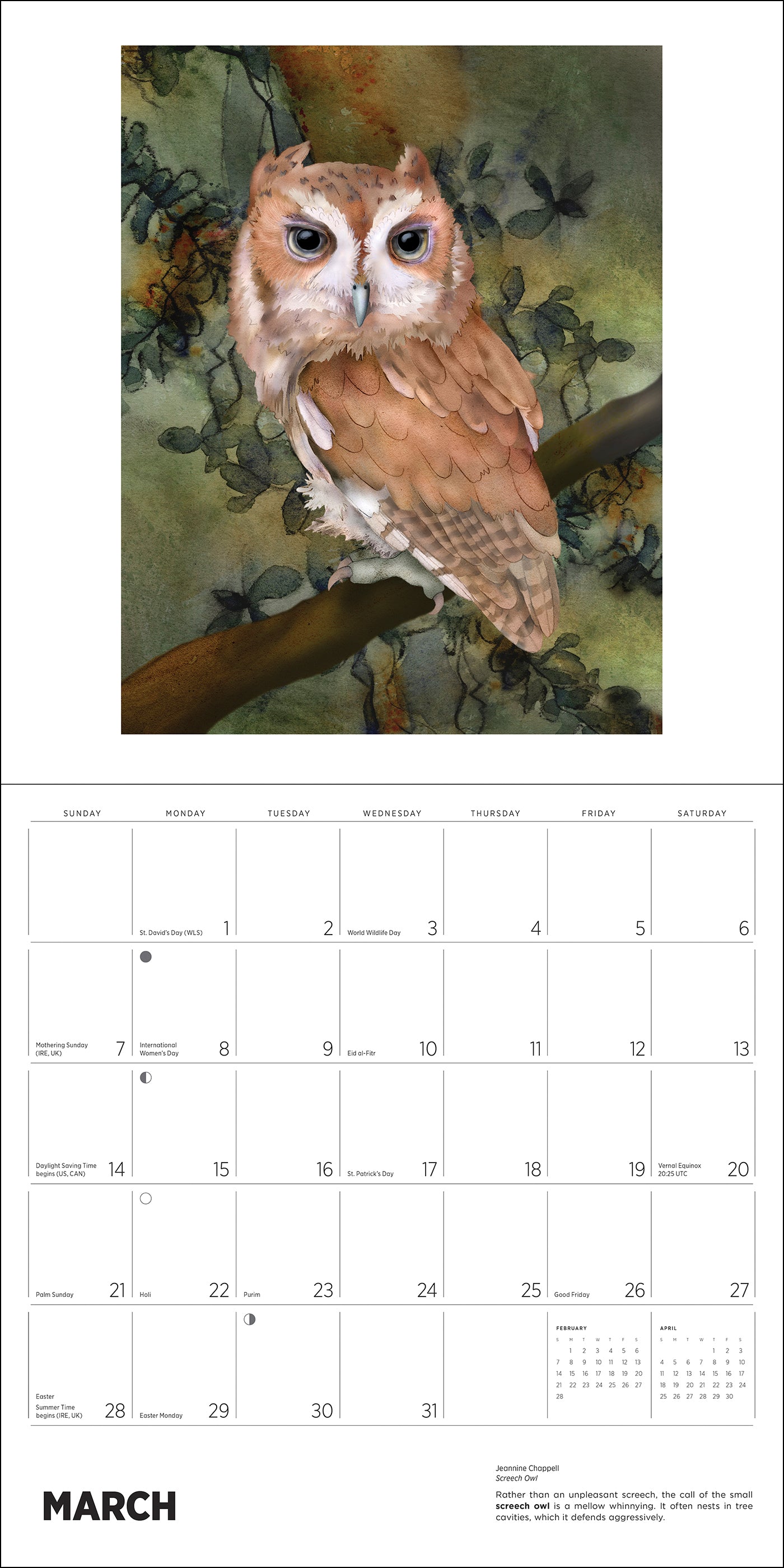 Owls: Jeannine Chappell 2027 Wall Calendar_Interior_1