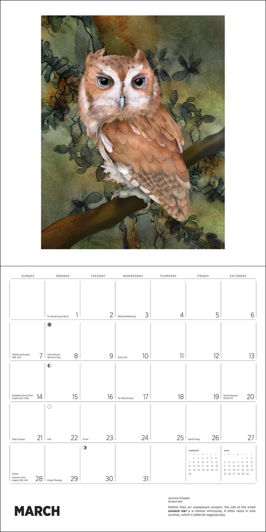 Owls: Jeannine Chappell 2027 Wall Calendar_Front_Flat