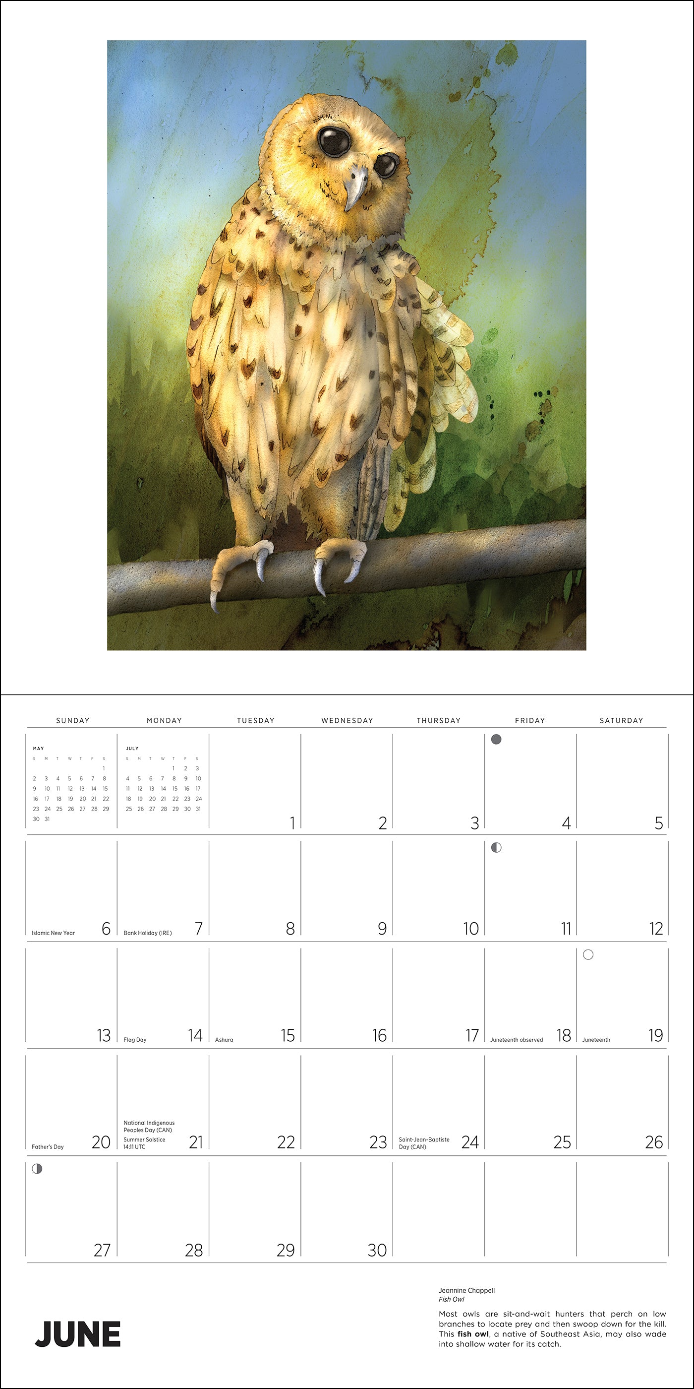 Owls: Jeannine Chappell 2027 Wall Calendar_Interior_2