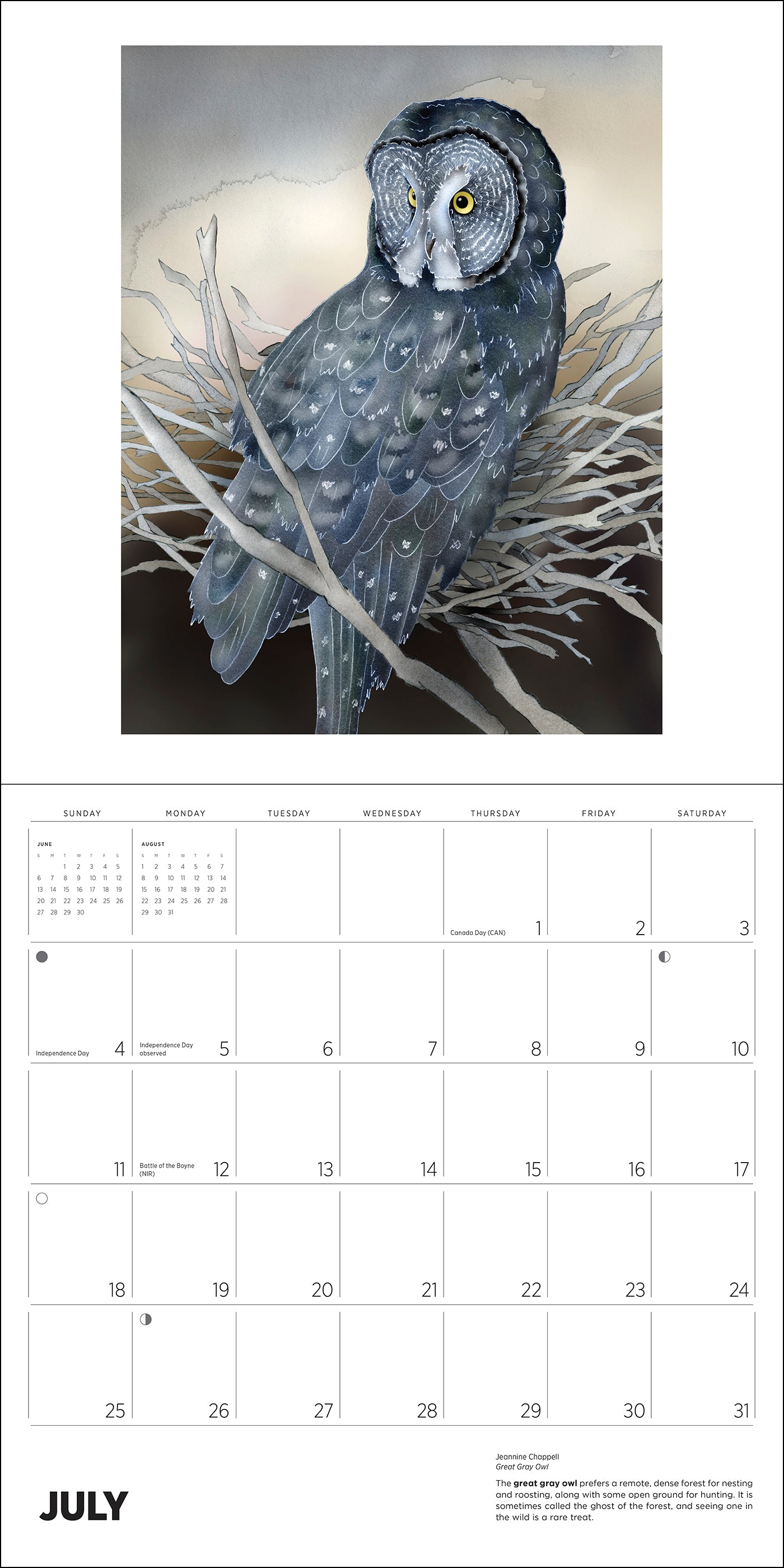 Owls: Jeannine Chappell 2027 Wall Calendar_Interior_3