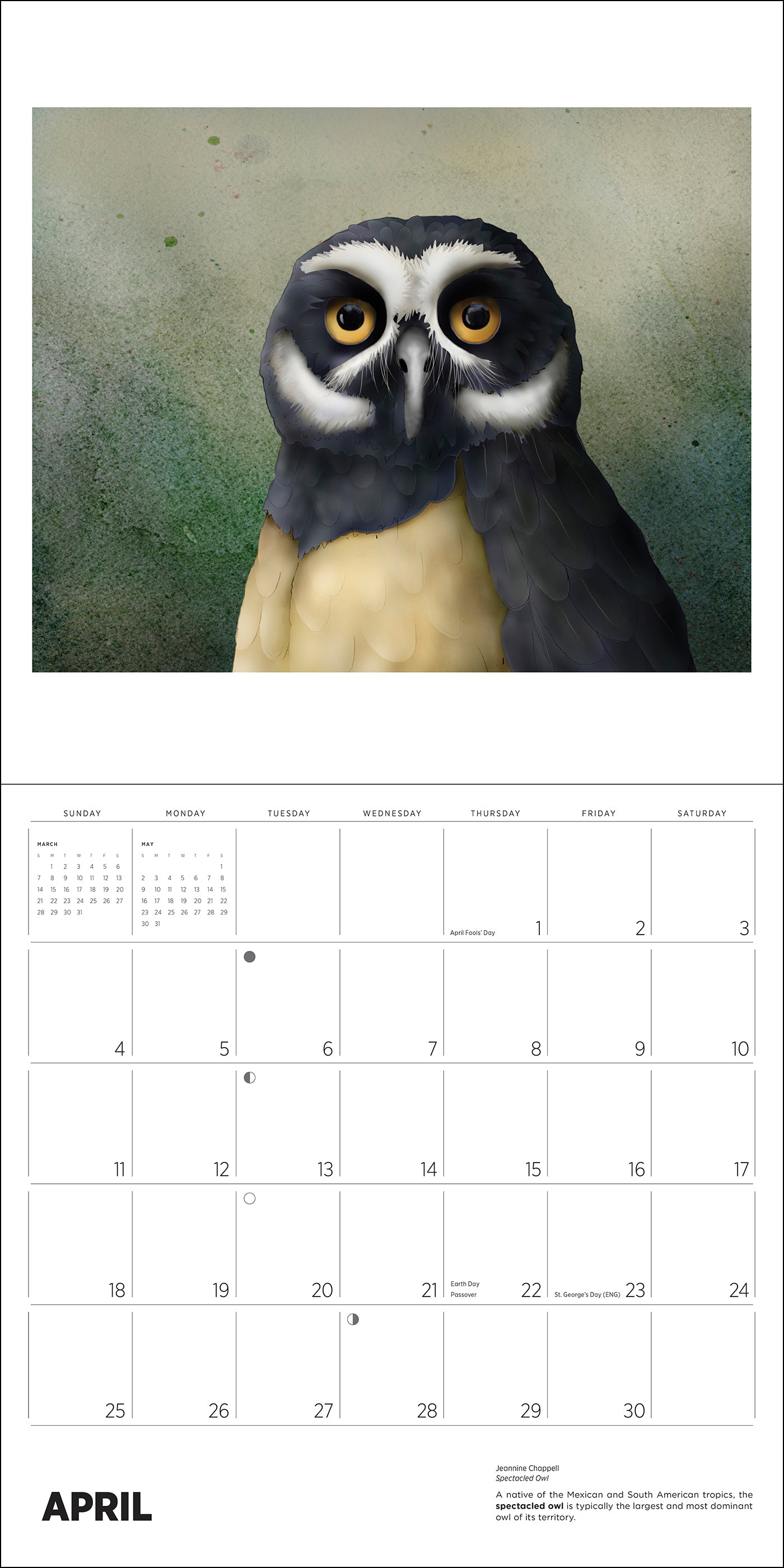 Owls: Jeannine Chappell 2027 Wall Calendar_Interior_4