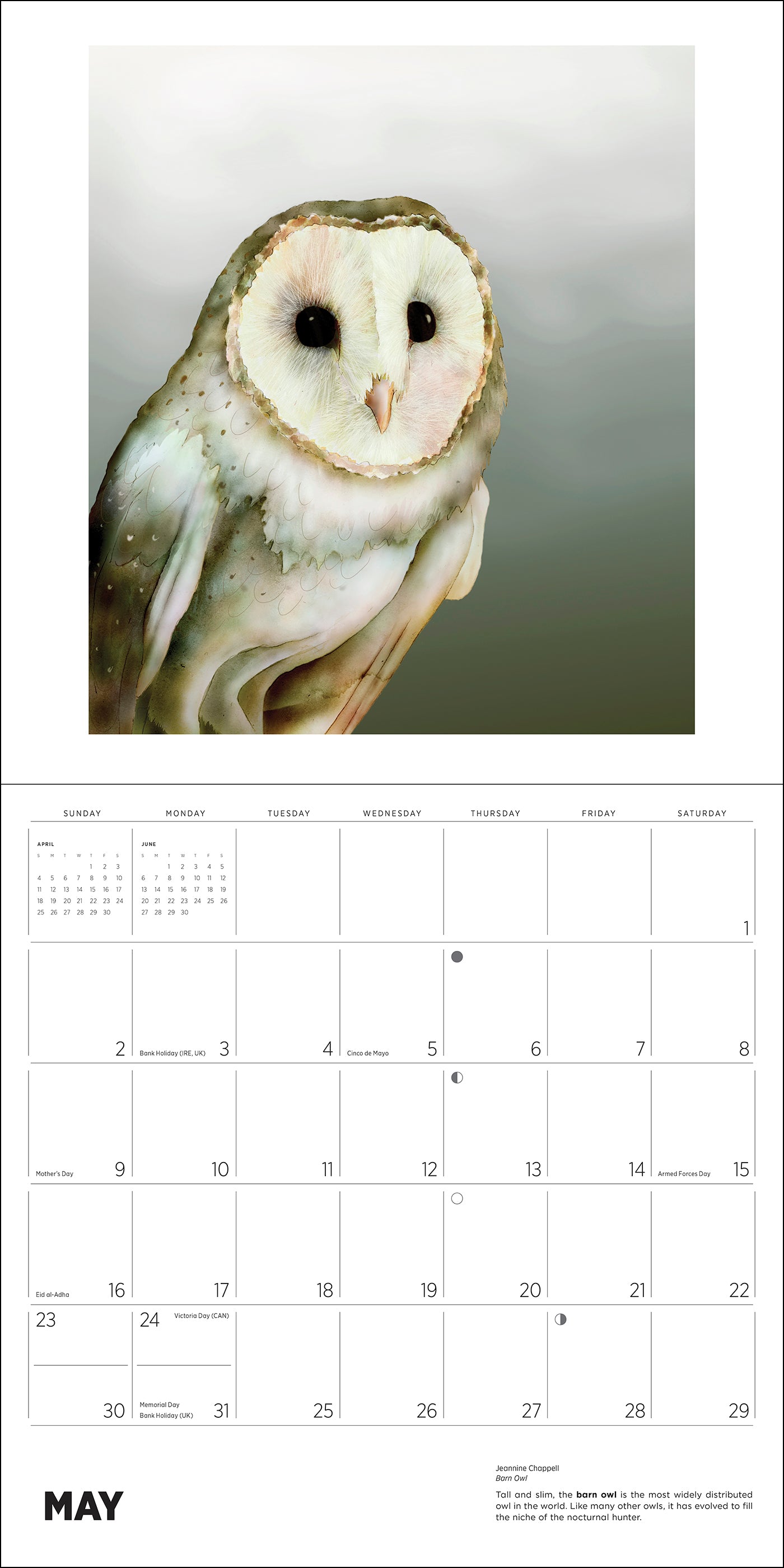 Owls: Jeannine Chappell 2027 Wall Calendar_Interior_5