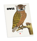 Owls Coloring Book_Primary