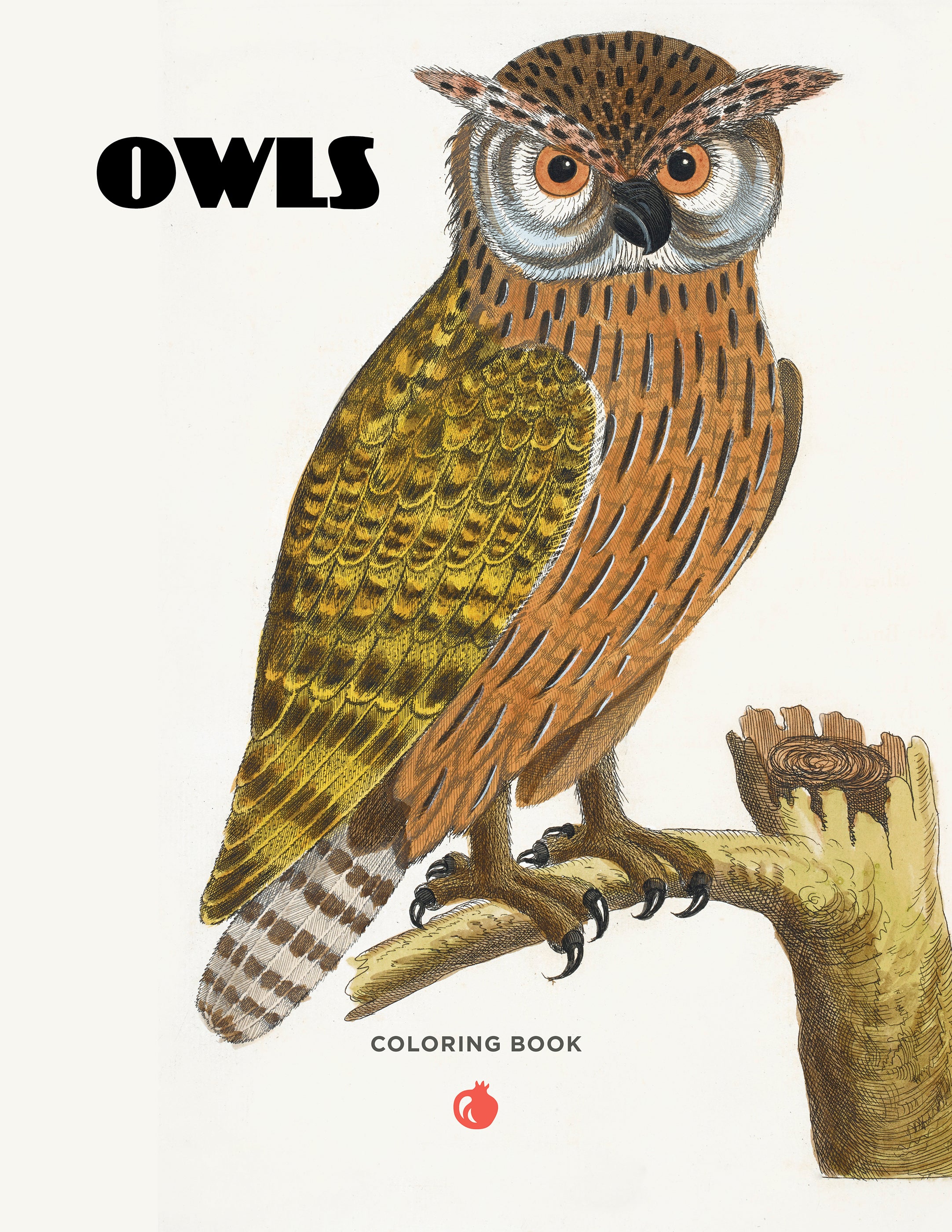 その他 owl's kid NO.48 Owls Coloring Book – Pomegranate