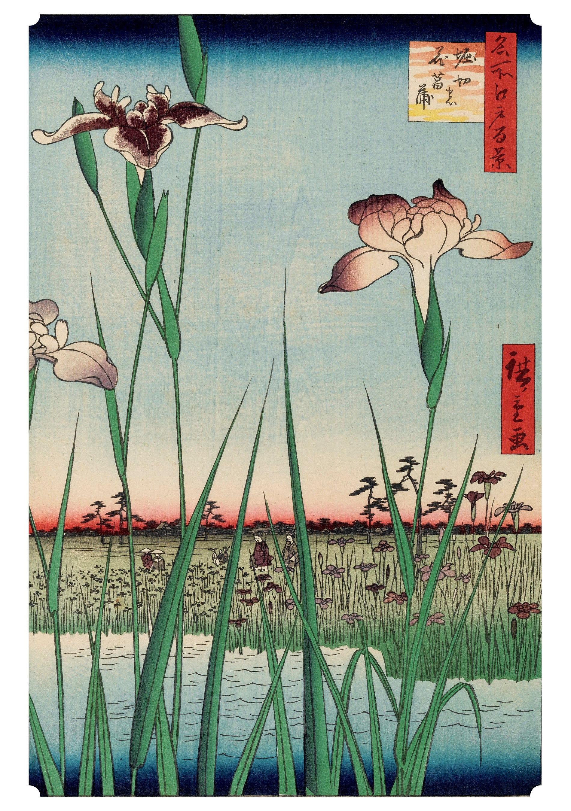 Hiroshige: Horikiri Iris Garden Birthday Card – Pomegranate