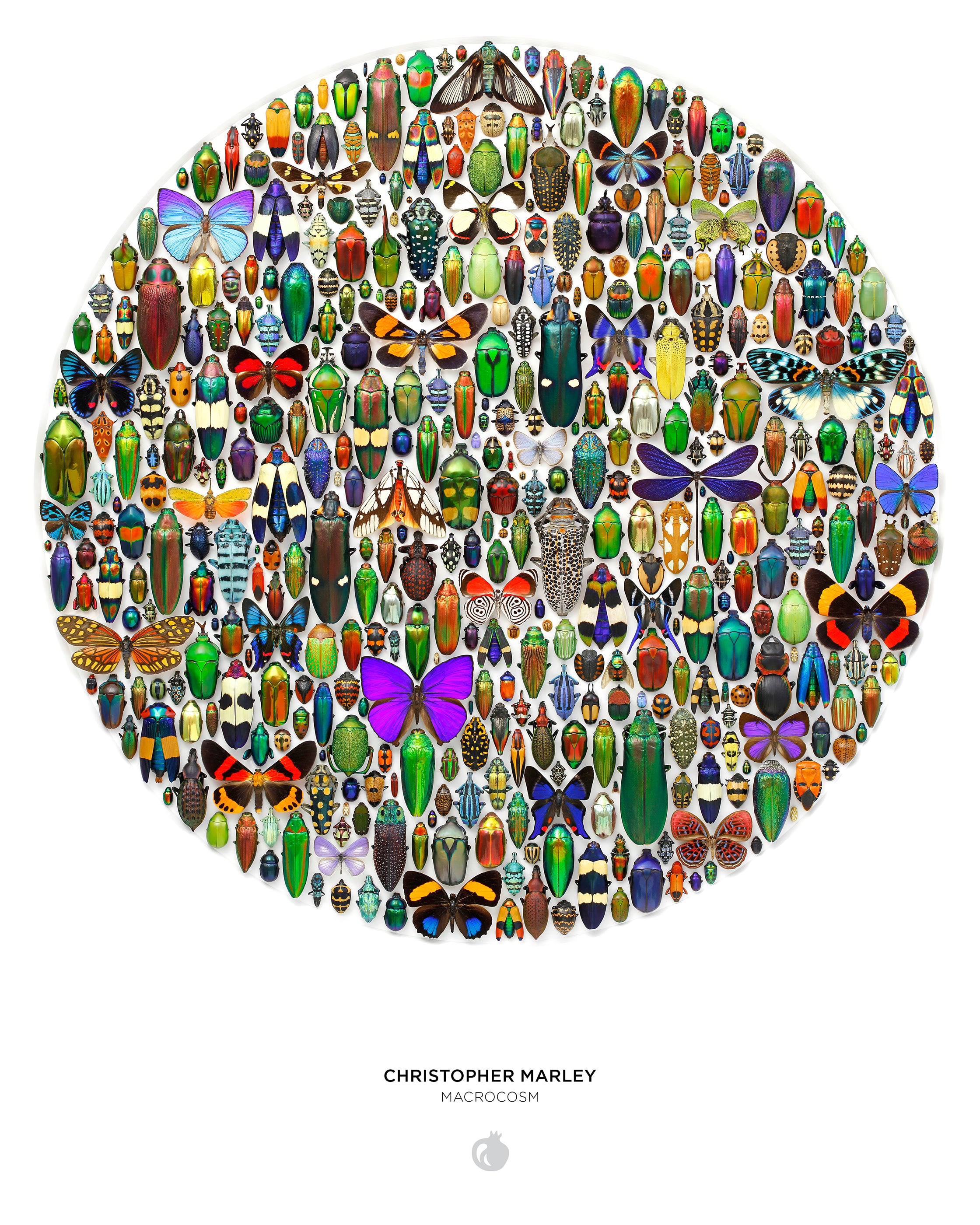 Christopher Marley: Macrocosm 500-Piece Circular Jigsaw Puzzle