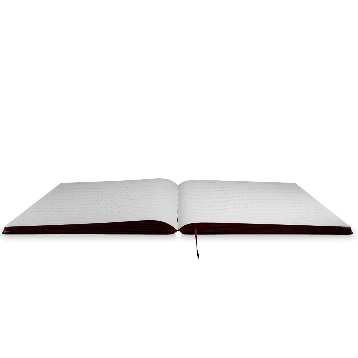 Hilma af Klint Journal_Interior_1