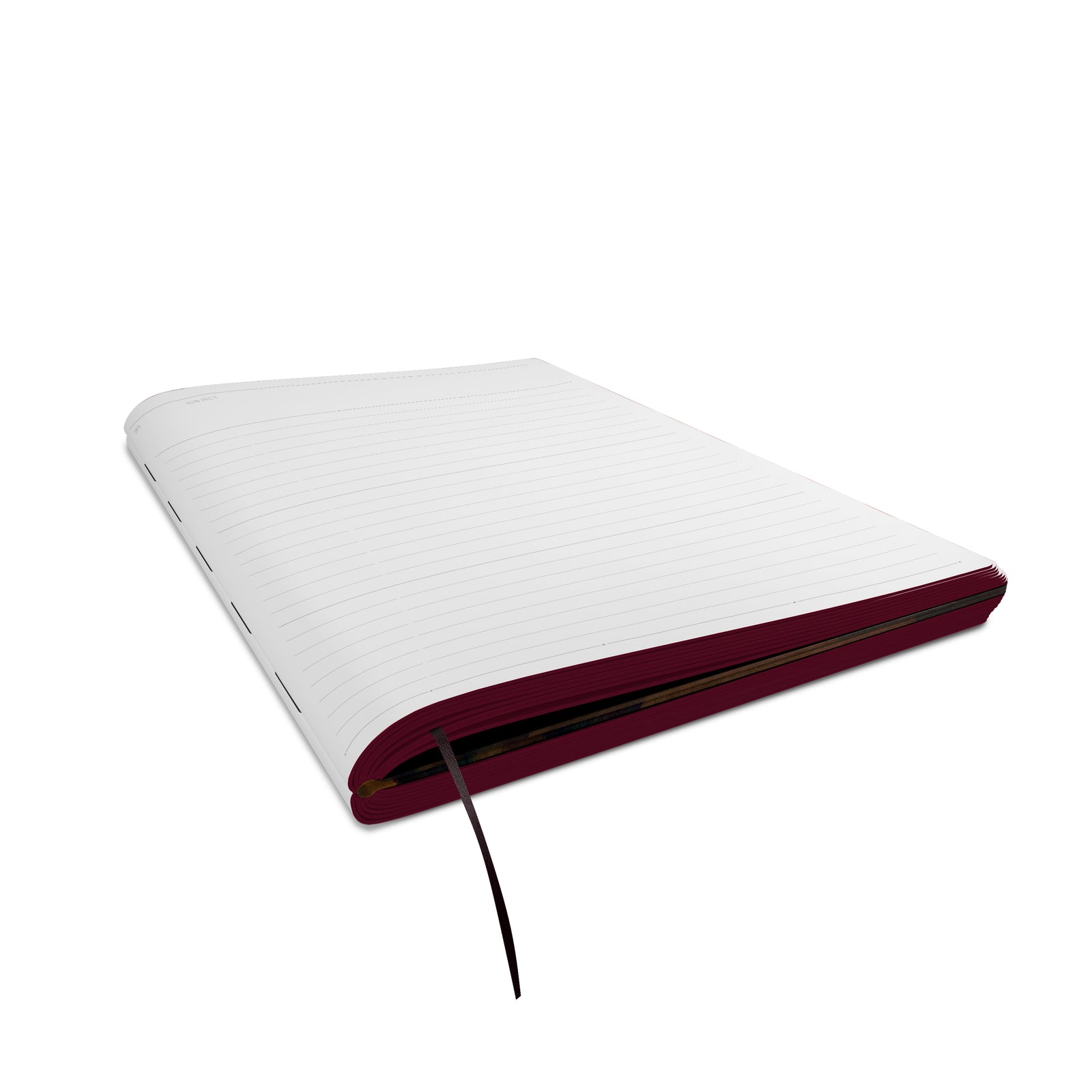 Hilma af Klint Journal_Interior_3