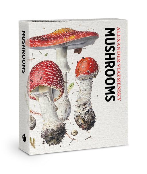 Mushrooms: Alexander Viazmensky Knowledge Cards_Primary