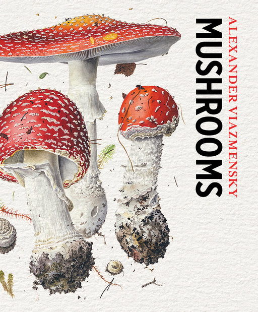 Mushrooms: Alexander Viazmensky Knowledge Cards_Zoom