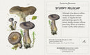 Mushrooms: Alexander Viazmensky Knowledge Cards_Interior_1