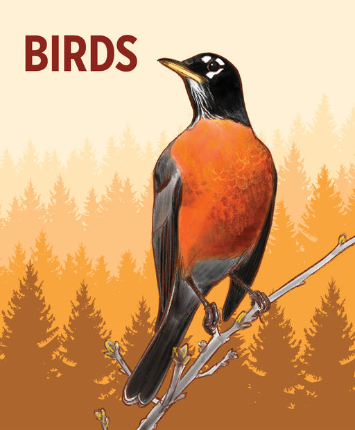 Birds Knowledge Cards_Zoom