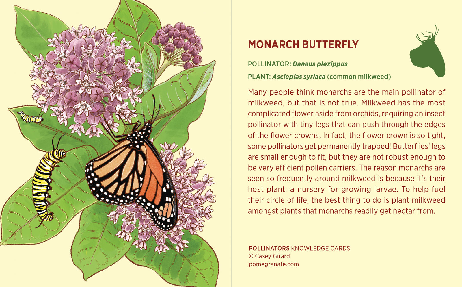 Pollinators Knowledge Cards_Interior_3