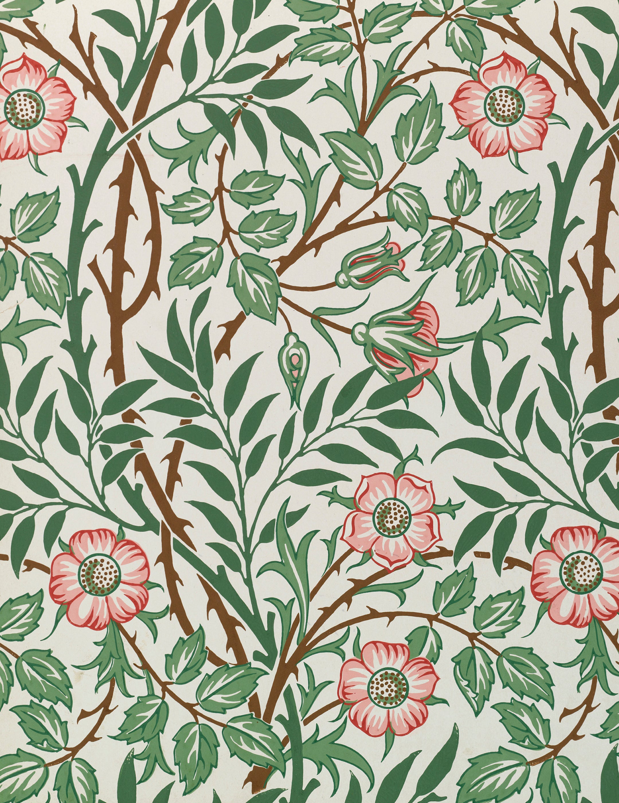 William Morris Keepsake Boxed Notecards – Pomegranate