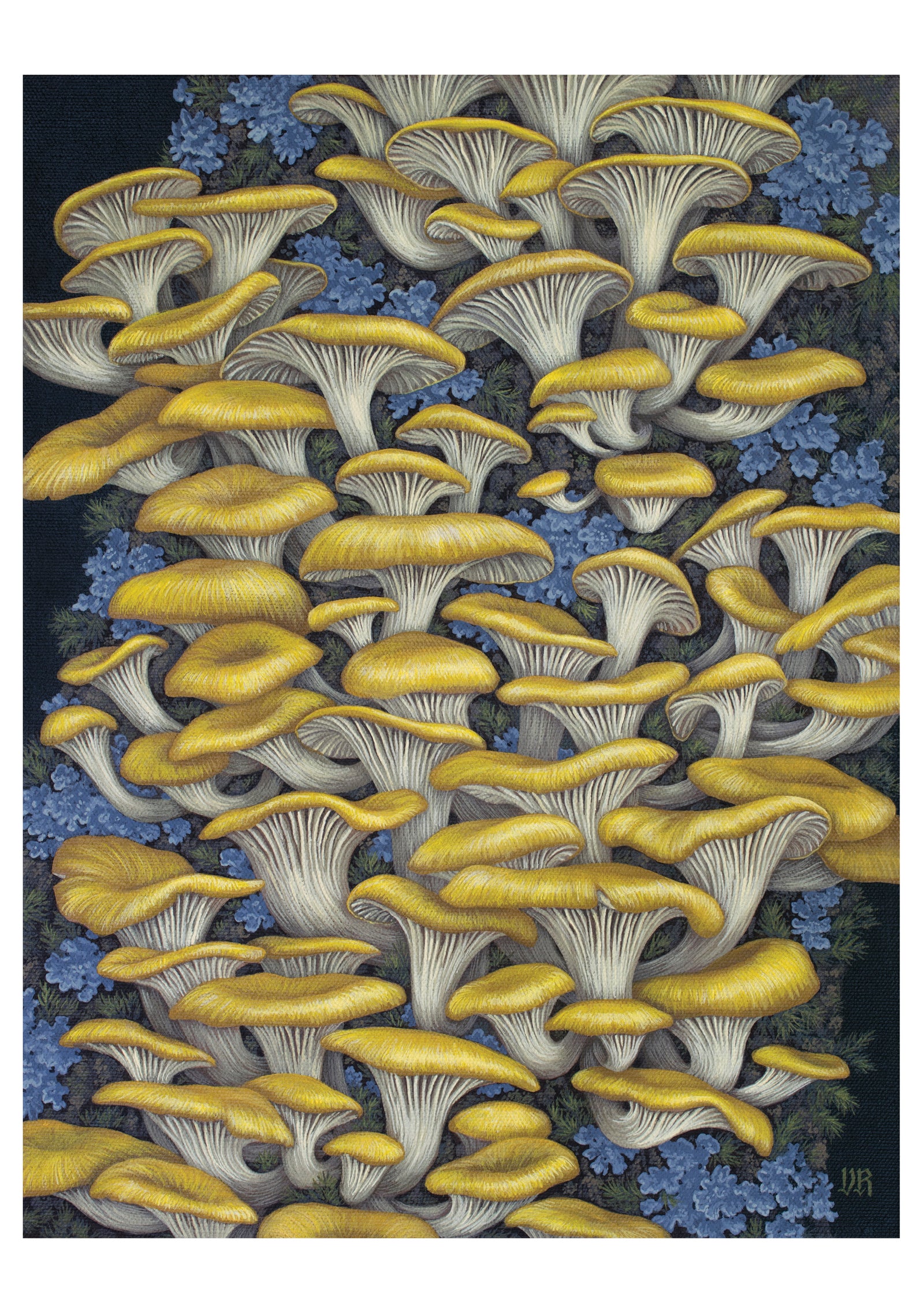 Vasilisa Romanenko: Yellow Oyster Mushrooms Notecard_Front_Flat