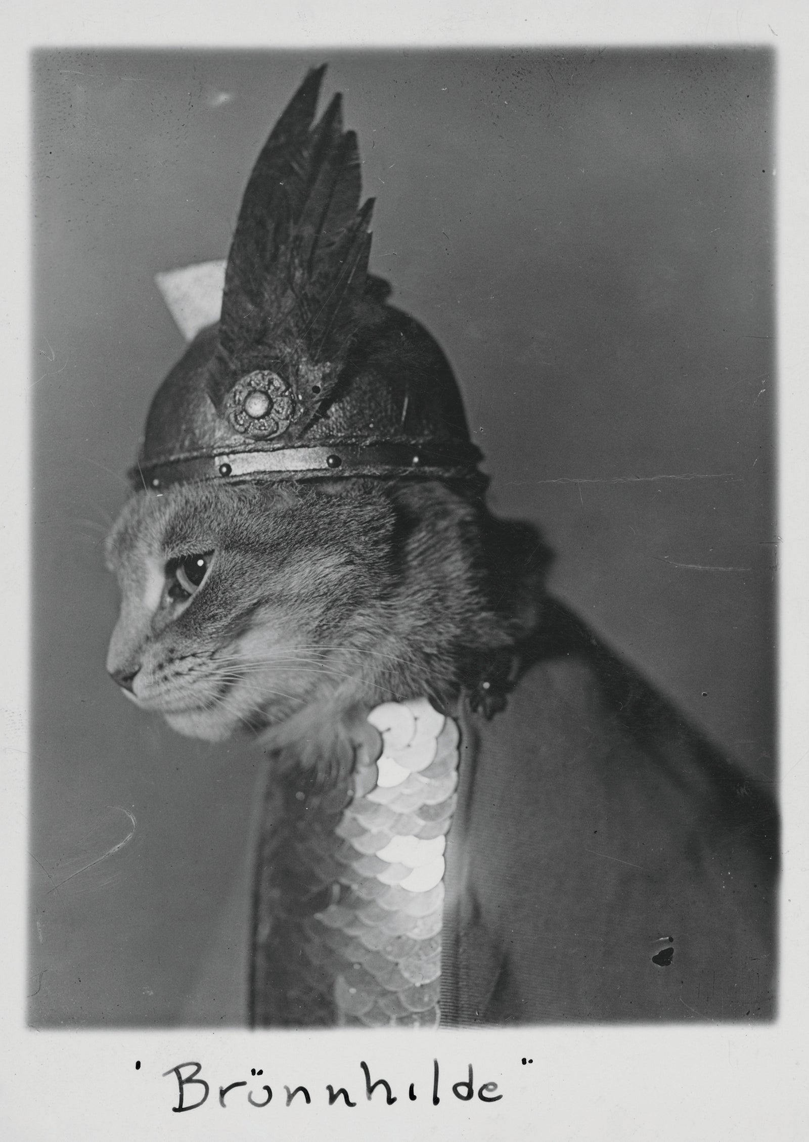 Brünnhilde Postcard_Front_Flat