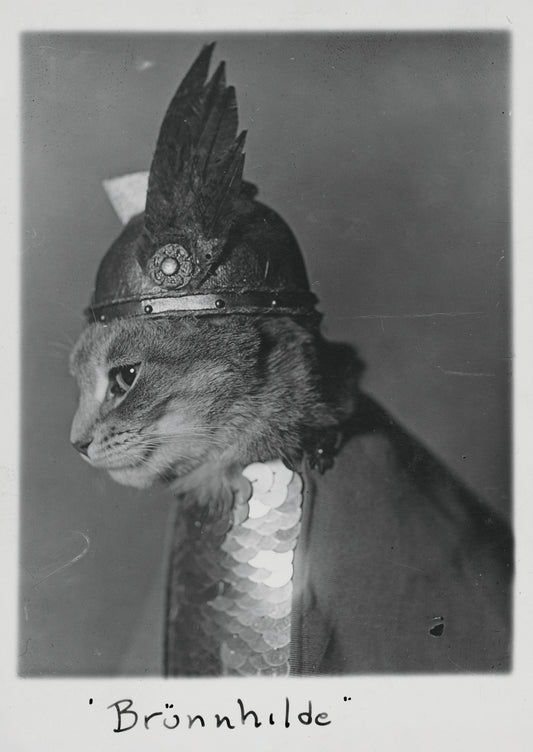 Brünnhilde Postcard_Front_Flat