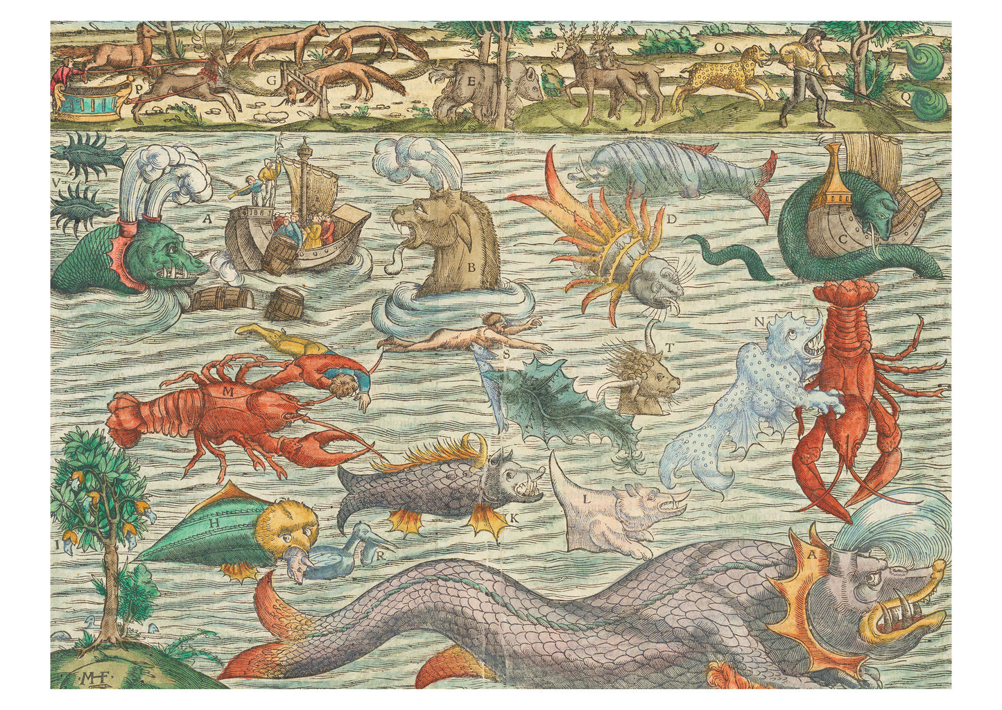 Sebastian Münster: Sea Monsters Postcard_Front_Flat