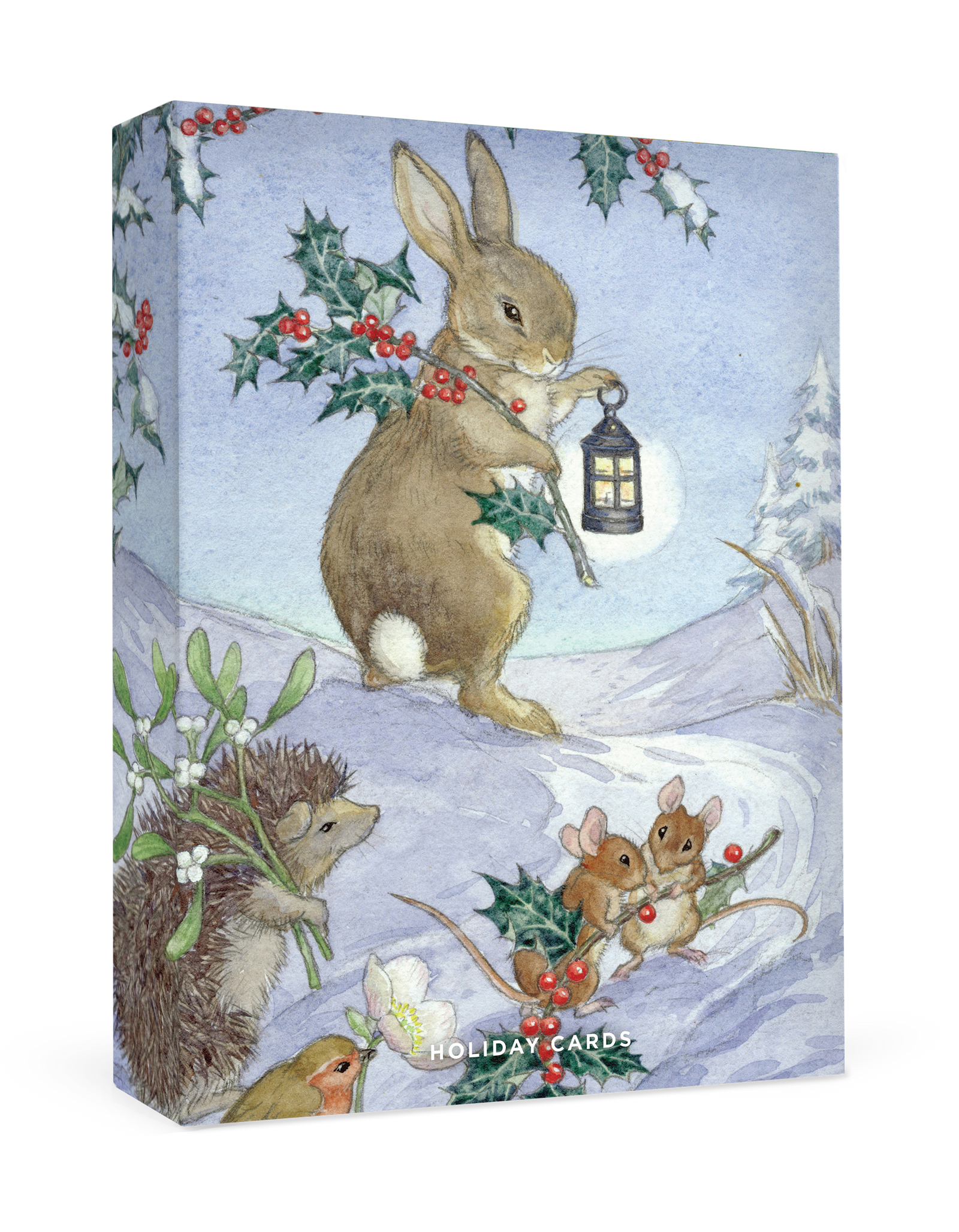 Molly Brett: Christmas Animals Small Holiday Cards_Primary
