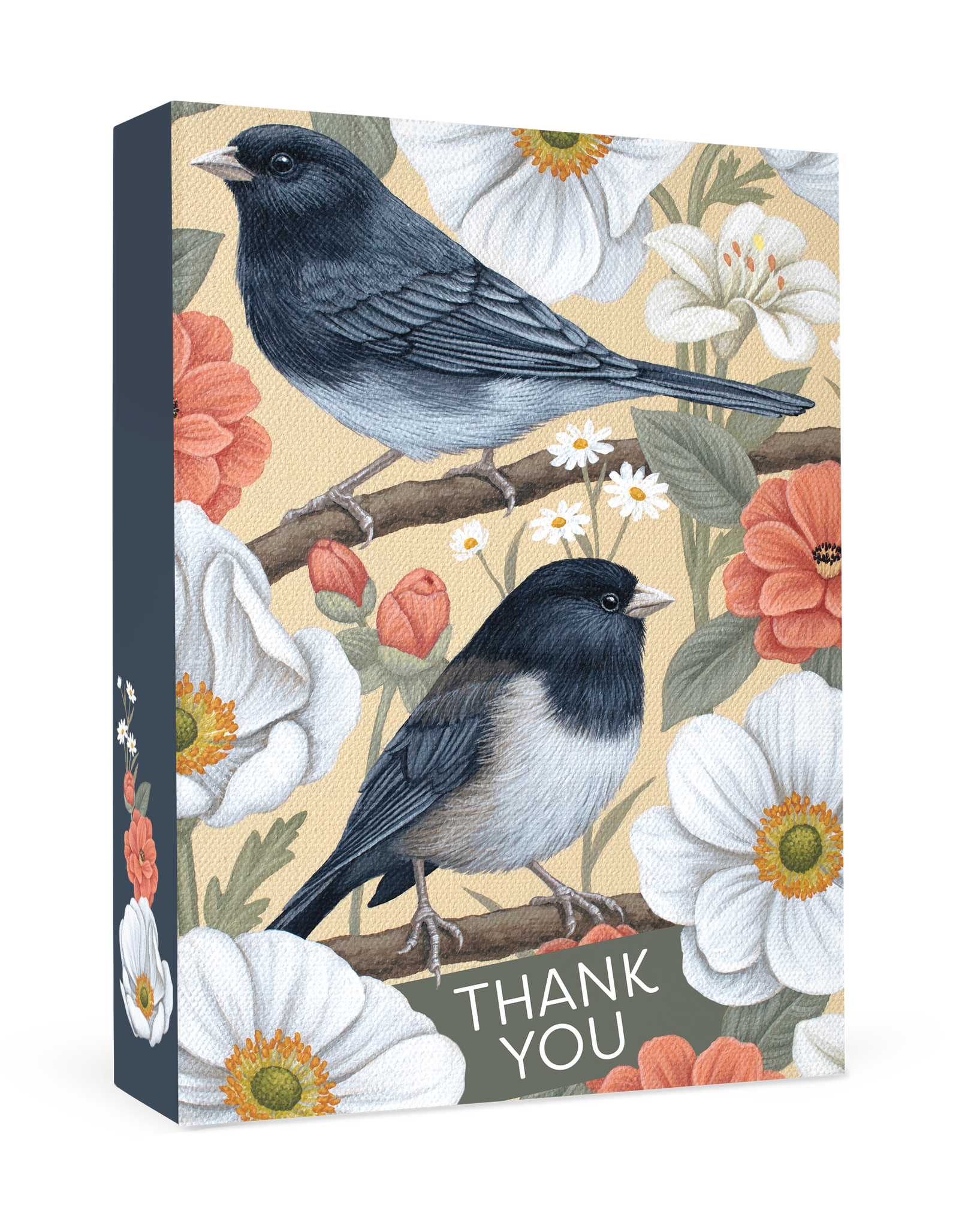 Vasilisa Romanenko: Dark-eyed Juncos Thank You Notes_Primary