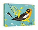 Charley Harper: Blackburnian Warbler Small Boxed Cards_Primary