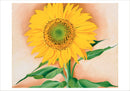 Georgia O'Keeffe: A Sunflower from Maggie Small Boxed Cards_Interior_1