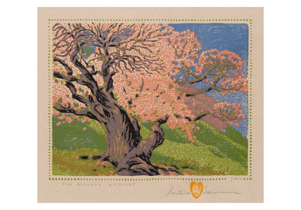 Gustave Baumann: The Bishop’s Apricot Small Boxed Cards_Interior_1
