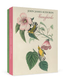 John James Audubon: Songbirds Boxed Notecard Assortment_Front_3D