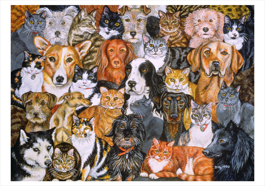 In the Company of Cats: Art by Ditz Boxed Notecard Assortment_Interior_2