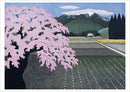 Kazuyuki Ohtsu: Cherry Trees Boxed Notecard Assortment_Interior_1