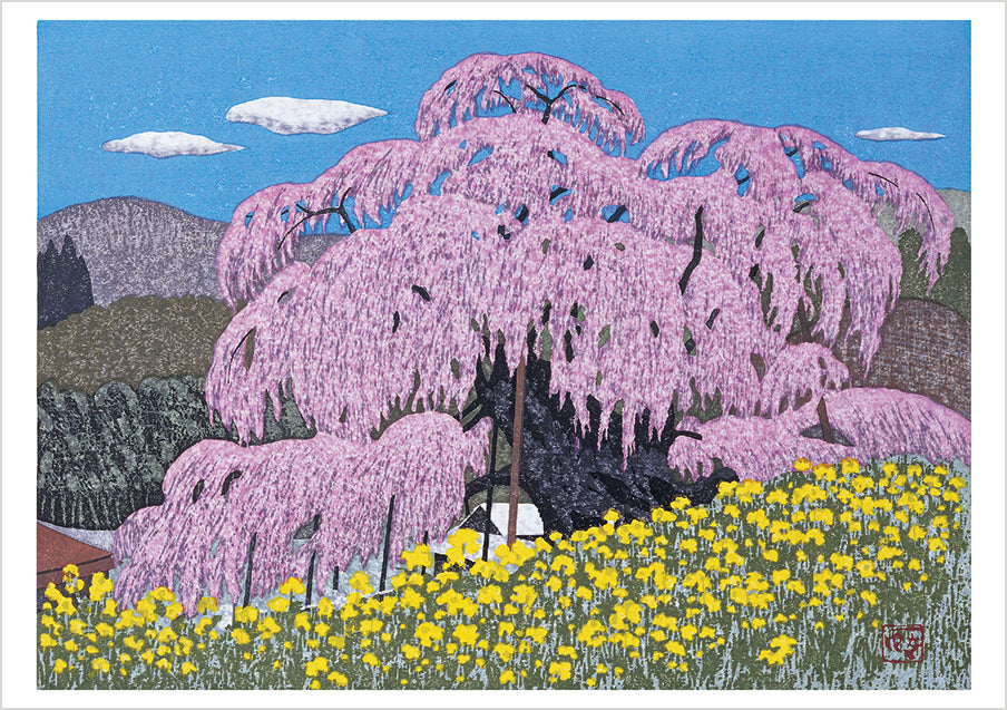Kazuyuki Ohtsu: Cherry Trees Boxed Notecard Assortment_Interior_4