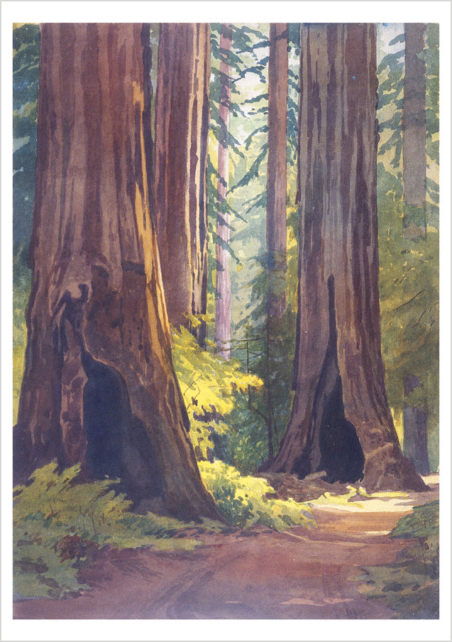 William S. Rice: Watercolors Boxed Notecard Assortment_Interior_2