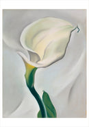 Georgia O'Keeffe Paintings Boxed Notecard Assortment_Interior_2