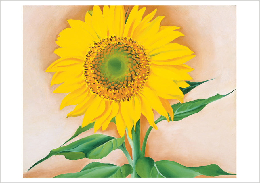 Georgia O'Keeffe: Sunflowers Notecard Folio_Interior_1