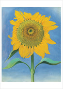 Georgia O'Keeffe: Sunflowers Notecard Folio_Interior_2