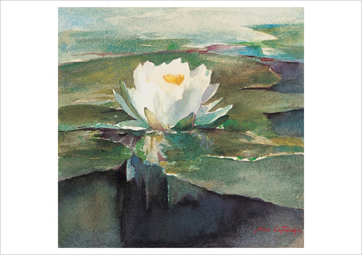 John La Farge: Water Lily in Sunlight Notecard_Front_Flat